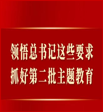 领悟总书记这些要求，抓好第二批主题教育