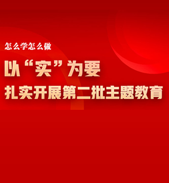 怎么学怎么做 以“实”为要，扎实开展第二批主题教育